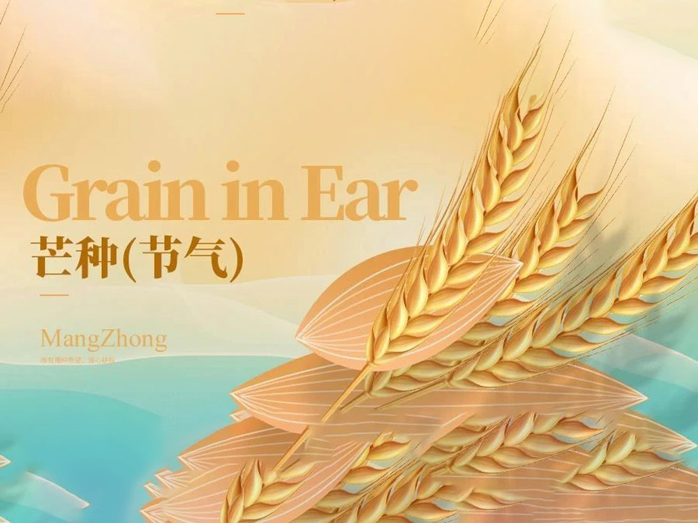 博恩節(jié)氣∣芒種養(yǎng)生 重在補脾祛濕